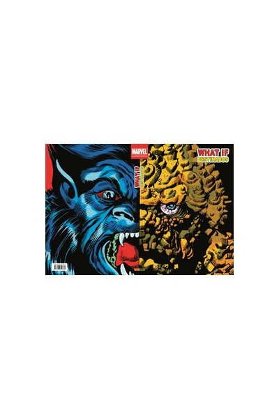 What If 04. Destinados (Marvel Limited Edition)