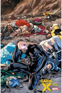 Caída De X 01 De 05