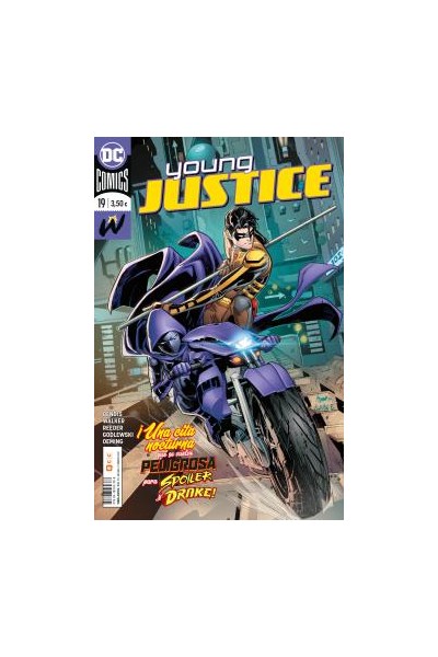Young Justice 19