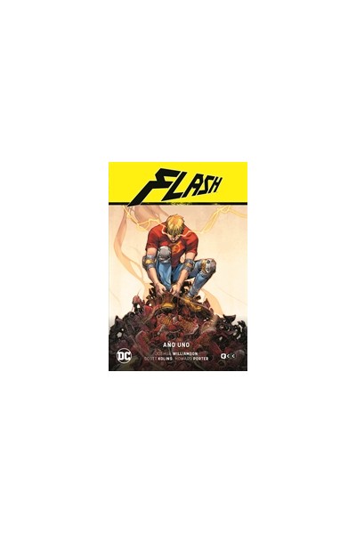 Flash Vol. 08