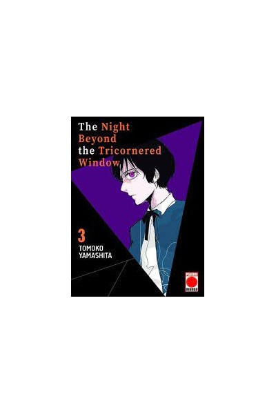 The Night Beyond The Tricornered Window 03