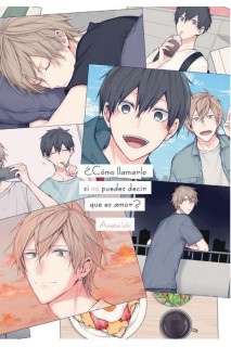 ¿Como Llamarlo Si No Puedes Decir Que Es Amor?