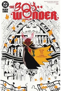 The Boy Wonder HC (Inglés)