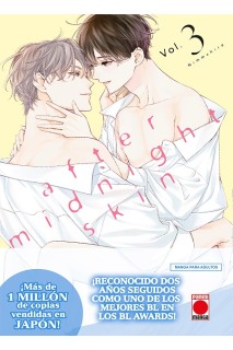 After Midnight Skin 03