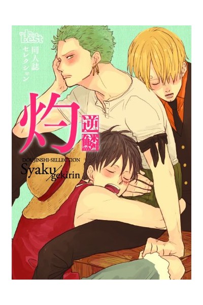 Doujinshi One Piece: Burning (Japonés)