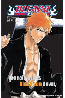 Bleach Souls (Inglés)