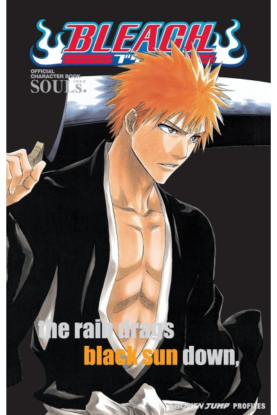 Bleach Souls (Inglés)