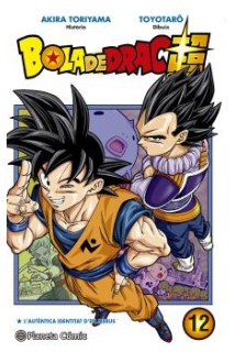 Bola De Drac Super 12