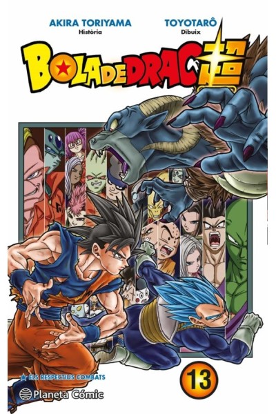 Bola De Drac Super 13