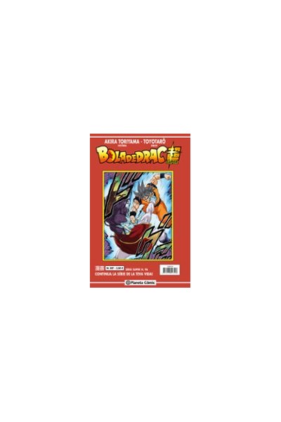 BOLA DE DRAC SUPER 96 SÈRIE VERMELLA Nº307