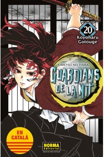 Guardians De La Nit 20