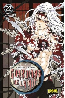 Guardians De La Nit 22