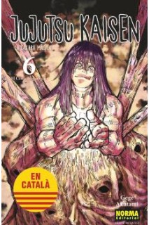 Jujutsu Kaisen (Català) 06