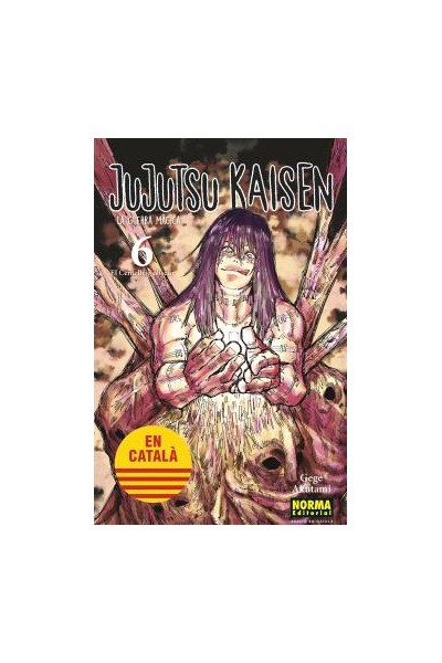 Jujutsu Kaisen (Català) 06