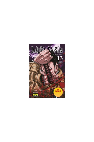 Jujutsu Kaisen (Català) 13