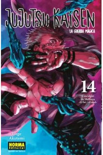 Jujutsu Kaisen (Catala) 14