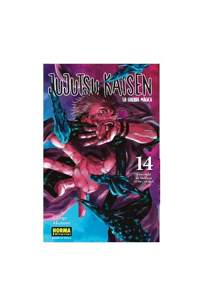 Jujutsu Kaisen (Català) 14