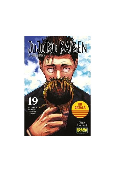 JUJUTSU KAISEN (CATALA) 19