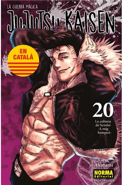 JUJUTSU KAISEN (CATALA) 20