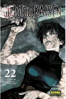 Jujutsu Kaisen (Català) 22