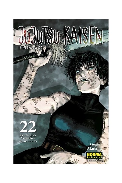 Jujutsu Kaisen (Català) 22