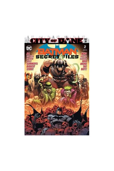 Batman Secret Files 02