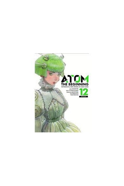 Atom: The Beginning 12