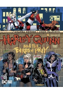 Harley Quinn & Birds Of Prey 01 (Of 4)