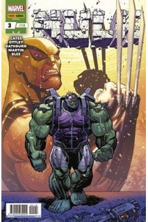 Hulk 03 (118)