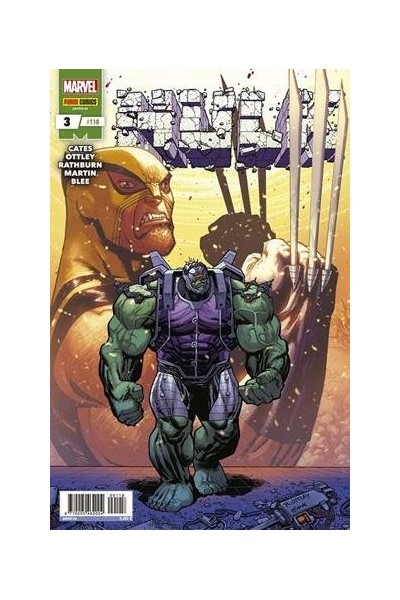 Hulk 03 (118)