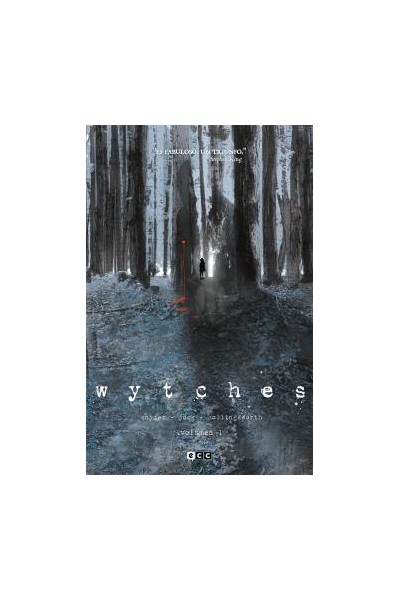Wytches 01
