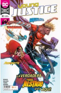 Young Justice 14