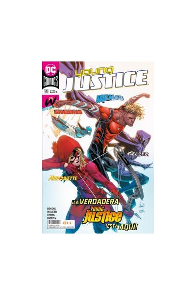 Young Justice 14