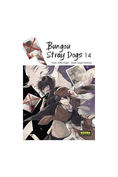 Bungou Stray Dogs 14