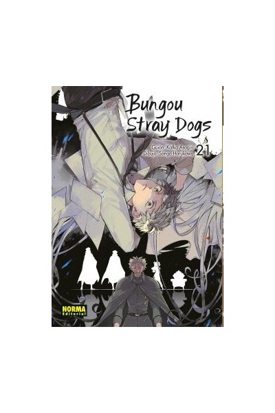 Bungou Stray Dogs 21