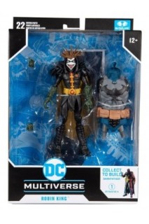 Dc Multiverse Robin King