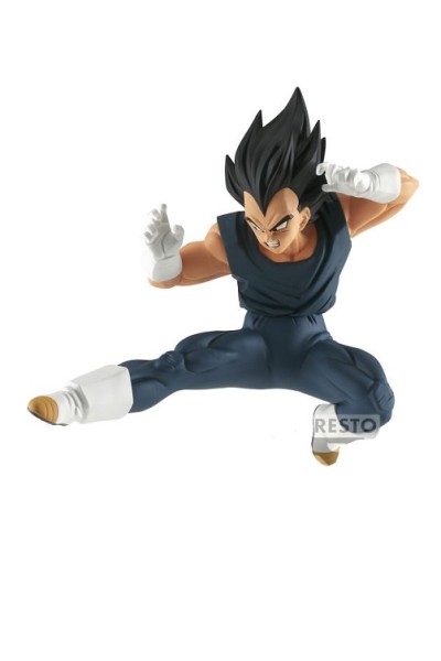 Dragon Ball - Match Makers: Vegeta