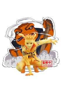 Naruto Shippuden Panel Spectacle Naruto