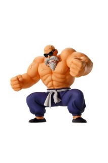 Dragon Ball Ichibansho Muten Roshi