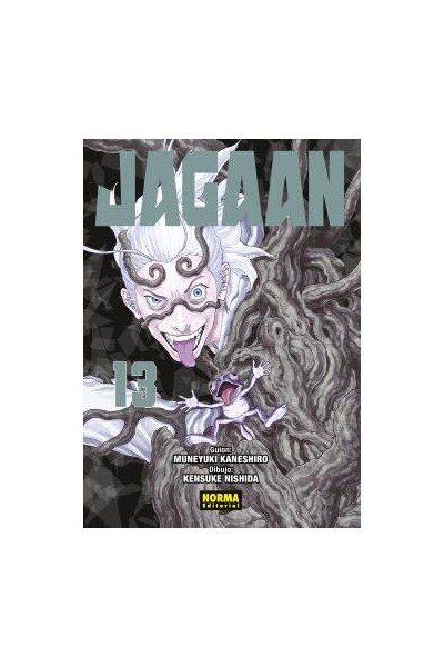 Jagaan 13