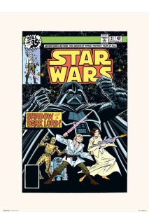 Star Wars Print Poster 30 X 40 Marvel Star Wars #21