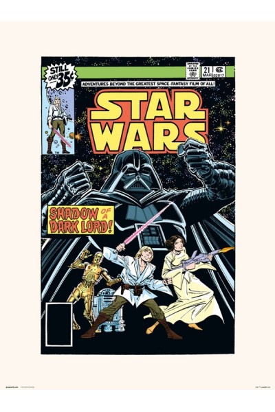 Star Wars Print Poster 30 X 40 Marvel Star Wars #21