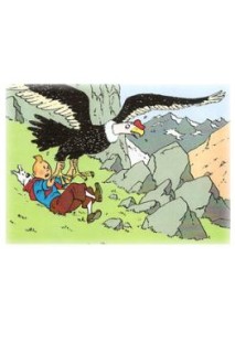 Tintin Poster Condor