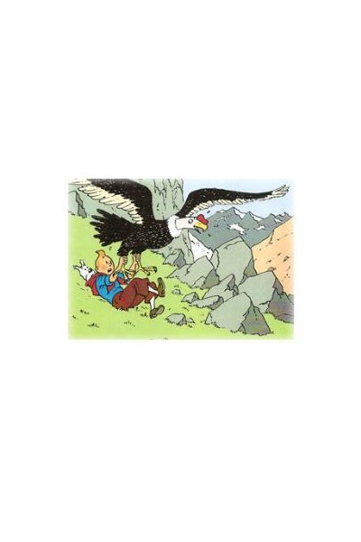 Tintin Poster Condor