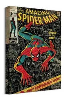 Marvel Cuadro Vinilo Spiderman