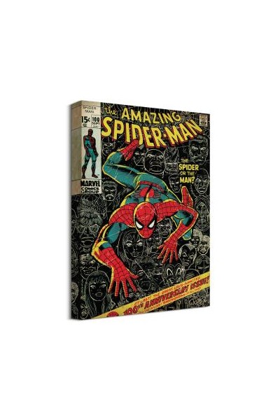 Marvel Cuadro Vinilo Spiderman