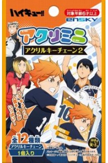 Haikyu!! Acrylic Keychain Aleatorio Sobre Sorpresa