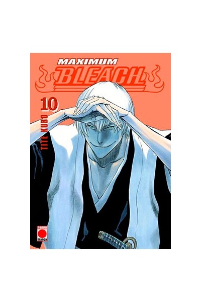 Bleach Maximum 10