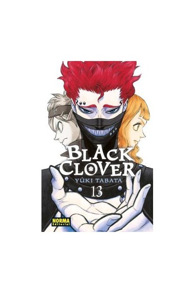 Black Clover 13