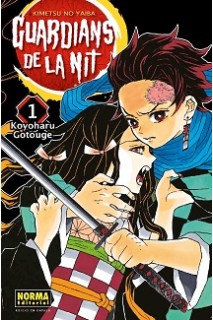 Guardians De La Nit 01